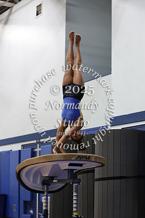 CHS_gy_10