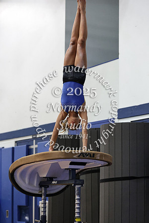 CHS_gy_08