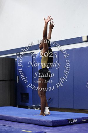 CHS_gy_15