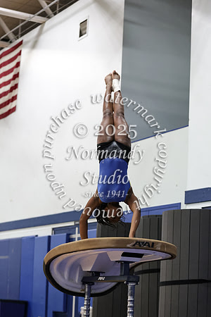 CHS_gy_17