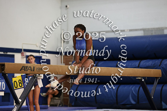 CHS_gy_69
