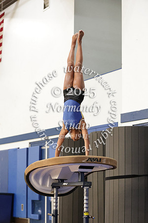 CHS_gy_01