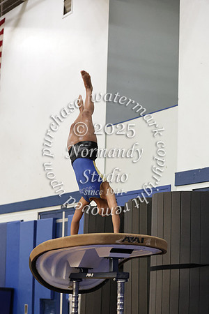 CHS_gy_02