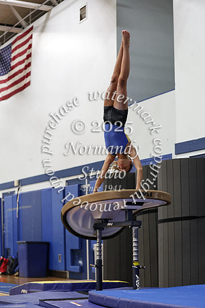 CHS_gy_05