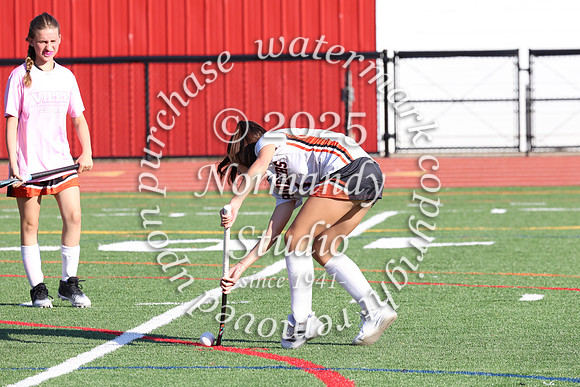 SVL_fh_40