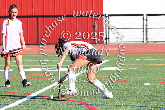 SVL_fh_41