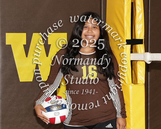 WTG_vb-g-v-t_22