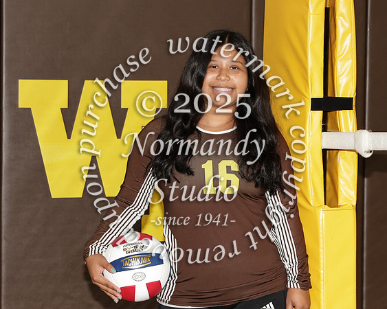 WTG_vb-g-v-t_21