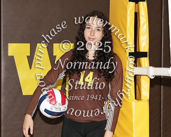 WTG_vb-g-v-t_30