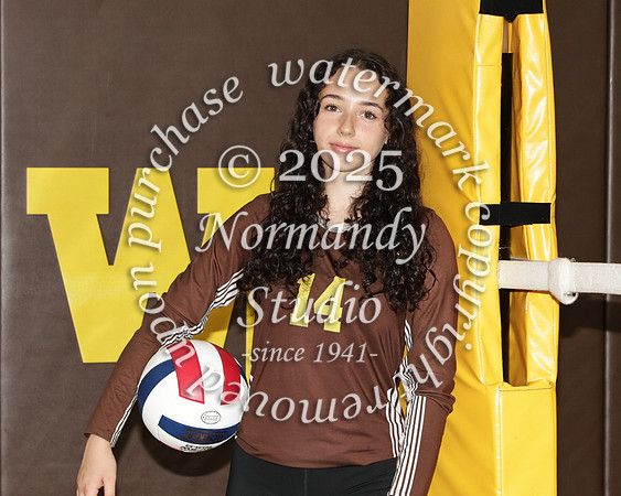 WTG_vb-g-v-t_31