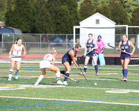DVH_fh_15