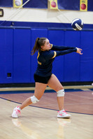 DVH_vb-g_12