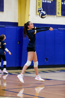 DVH_vb-g_10