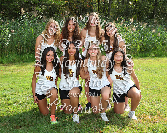 WTG_cc-g-t_29