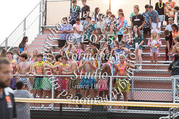 SVL_fans_06