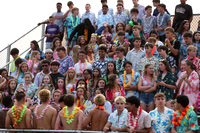 SVL_fans_12