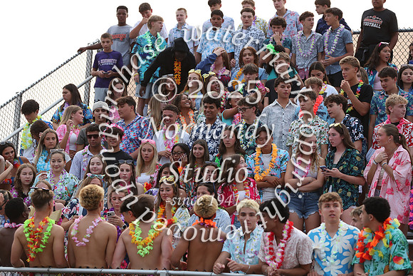 SVL_fans_12