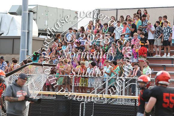 SVL_fans_11
