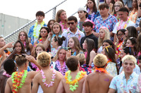 SVL_fans_16
