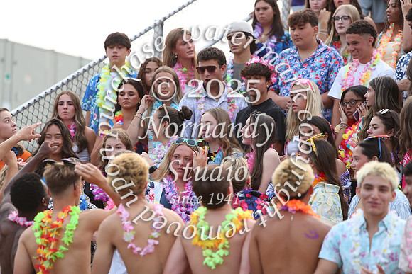 SVL_fans_16