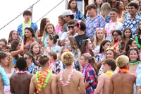 SVL_fans_14
