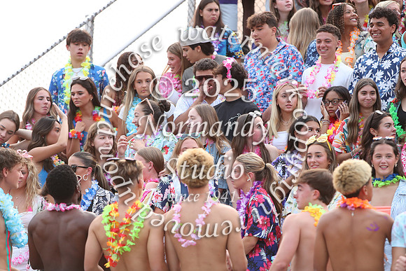 SVL_fans_14