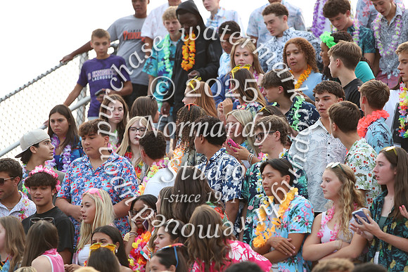 SVL_fans_17