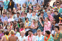 SVL_fans_15