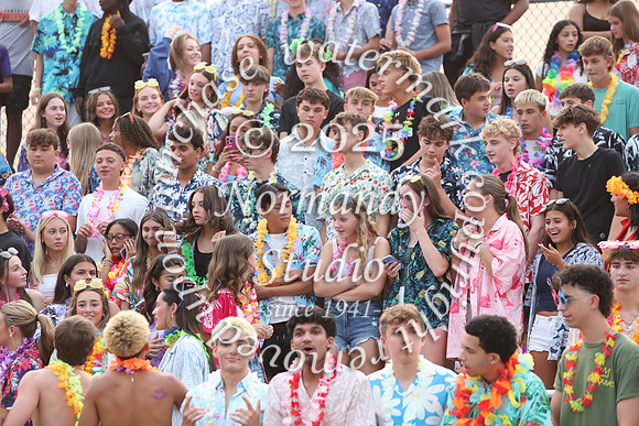 SVL_fans_15