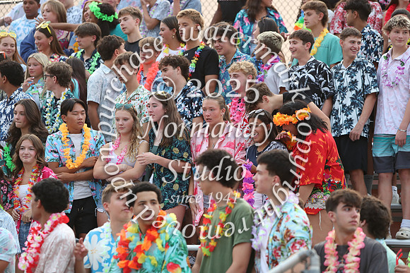 SVL_fans_19