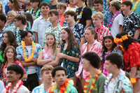 SVL_fans_20
