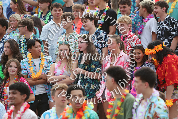 SVL_fans_20