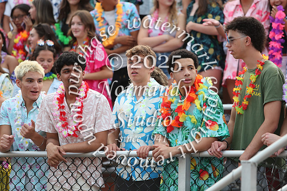 SVL_fans_22