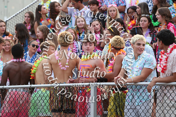 SVL_fans_24