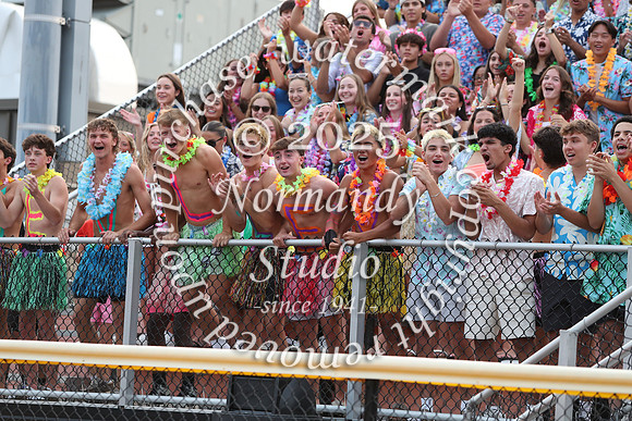 SVL_fans_26