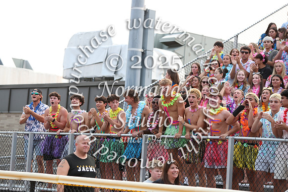 SVL_fans_30