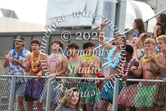 SVL_fans_33