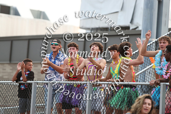 SVL_fans_34