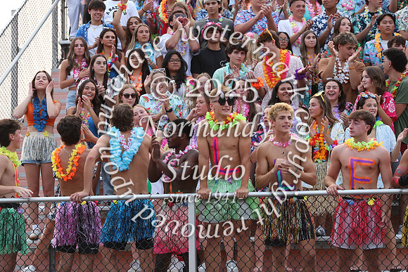 SVL_fans_35