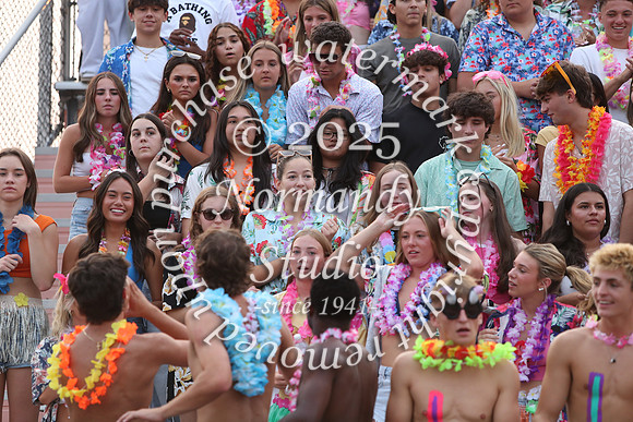 SVL_fans_39