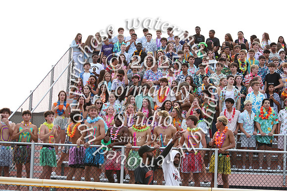 SVL_fans_40