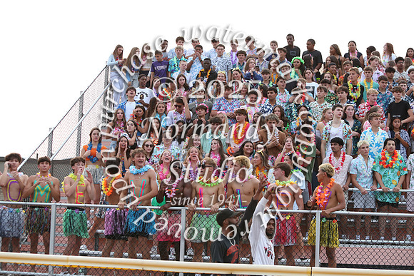 SVL_fans_41