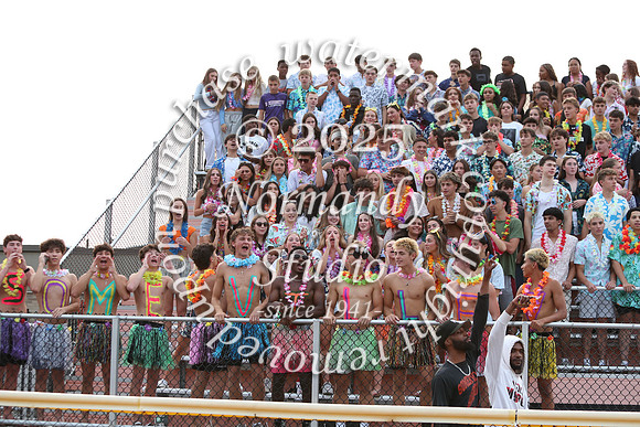SVL_fans_42