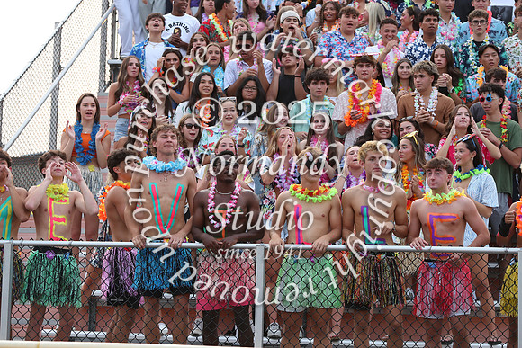 SVL_fans_44