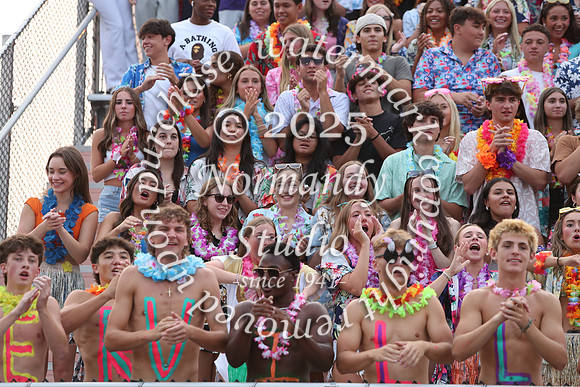 SVL_fans_56