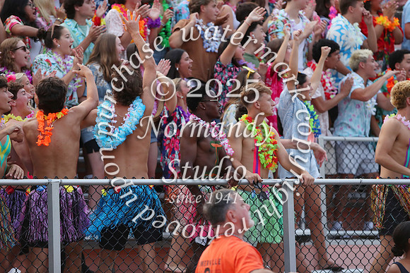 SVL_fans_63