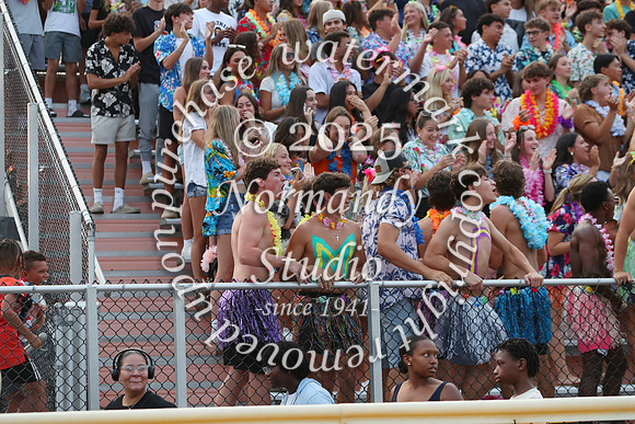 SVL_fans_71