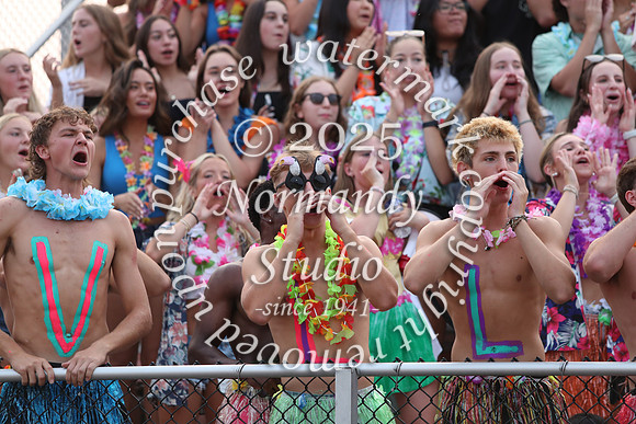 SVL_fans_74