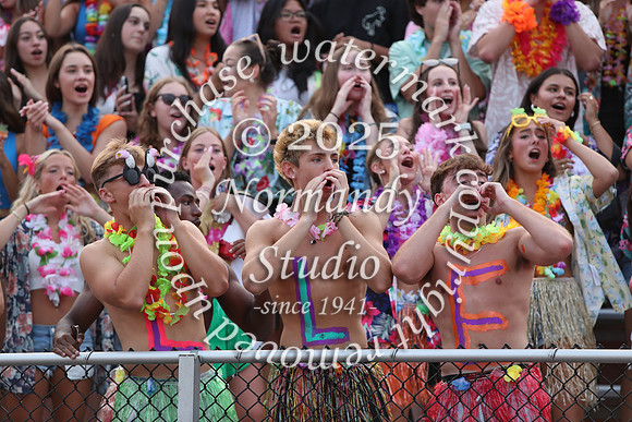 SVL_fans_78