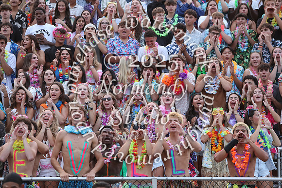 SVL_fans_84